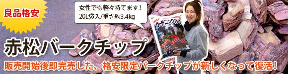 �ԏ��o�[�N�`�b�v