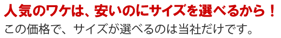 �T�C�Y