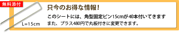 固定ピン添付