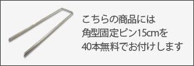 固定ピン
