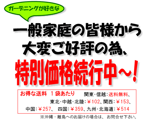 �o�[�N�`�b�v���ʉ��i