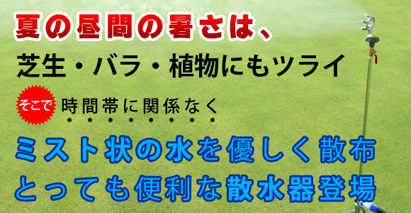 夏場の水遣り