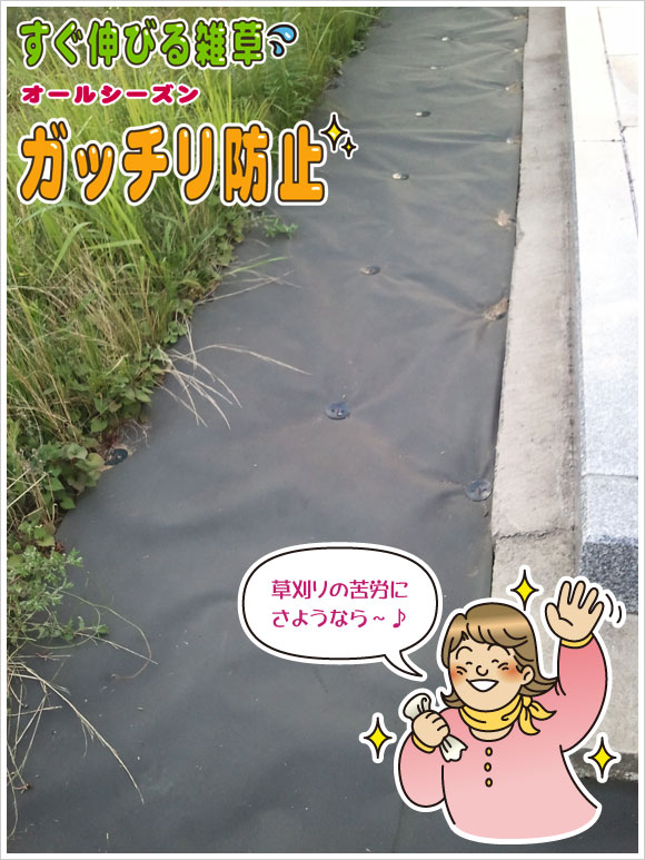 �ŋ߂̗l�q