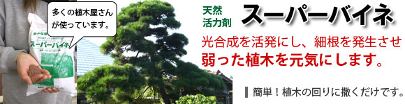 �V�R���͍܃X�[�p�[�o�C�l�Ŏ����񕜁B