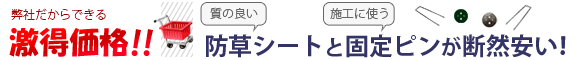 �h���V�[�g�Œ�s��