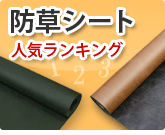 �h���V�[�g�l�C�����L���O