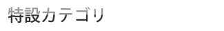 ���݃J�e�S��