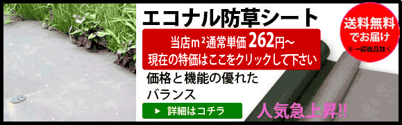 防草シートは水を透す方がいいですか