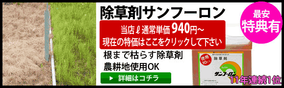 雑草 オオアレチノギクの駆除方法 おすすめ除草剤