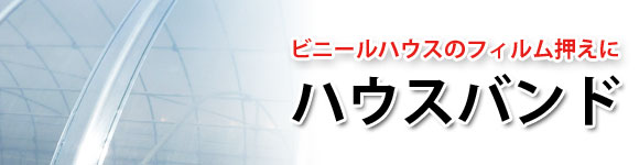 カテゴリ名