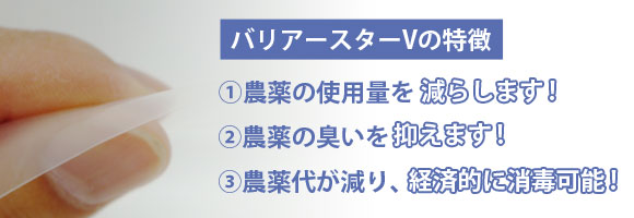 特徴