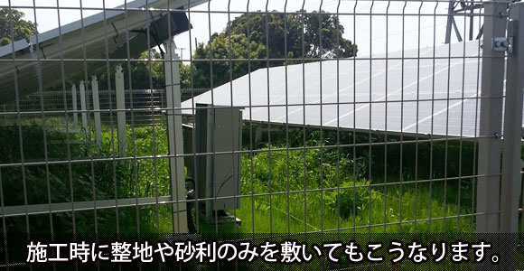 太陽光パネル周囲の雑草