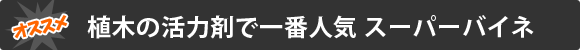 スーパーバイネセット