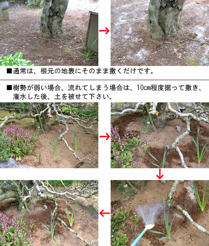 スーパーバイネの撒き方