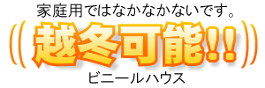 越冬可能