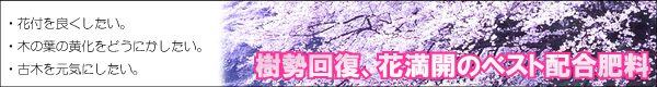 打込み型肥料