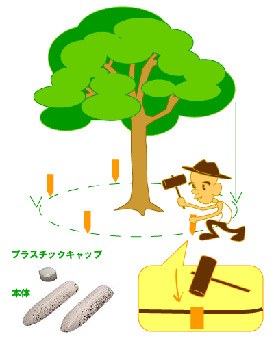 プラントストライクの施用方法