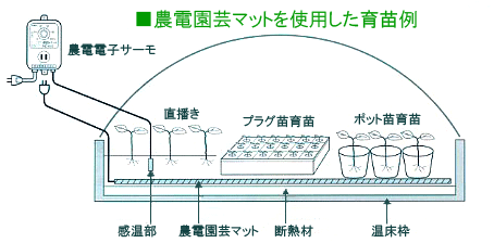 農電園芸マットを使用した育苗例