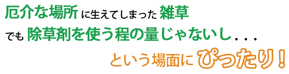 草枯れ一番プラス 文字2