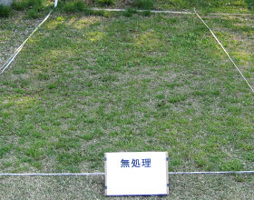 事例1