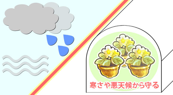 クレモナ 寒冷紗 保温