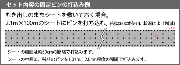 固定ピン打込み例