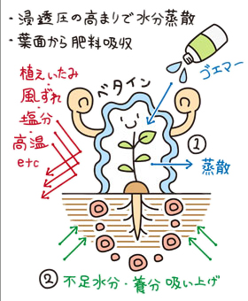 ゴエマー散布効果イメージ