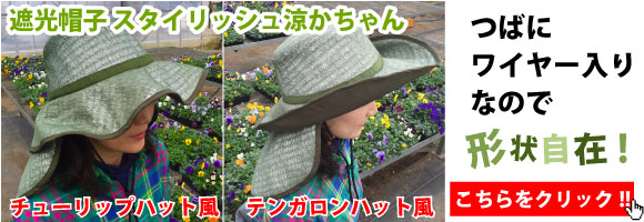 遮光帽子