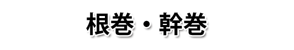 根巻・幹巻 販売