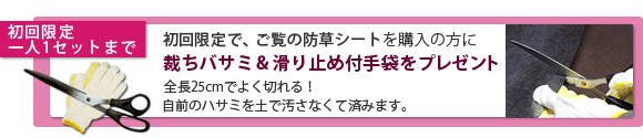 サービス品