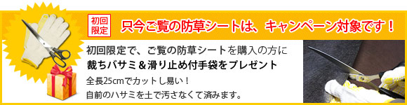 サービス品