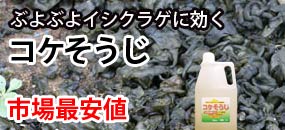 コケそうじ
