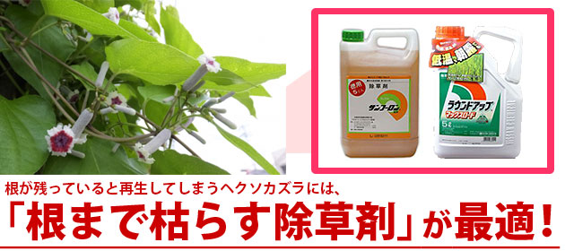 つる雑草ヘクソカズラの駆除方法 おすすめ除草剤