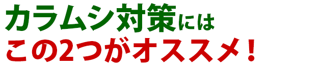 雑草 カラムシ 雑草 除草 防除