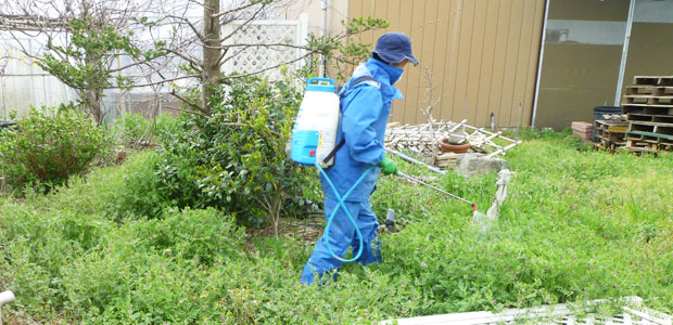 どこに使う 何を選べばいい 除草剤の選び方