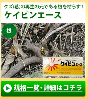 雑草クズ 葛 の駆除方法 おすすめ除草剤