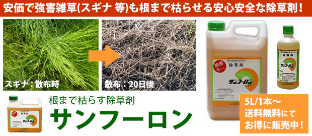 雑草 スベリヒユの駆除方法 おすすめ除草剤