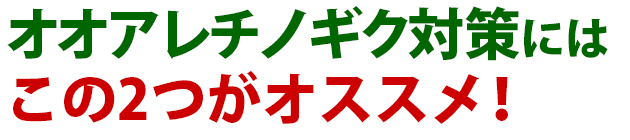 100 オオアレチノギク 除草 剤 人気のある画像を投稿する