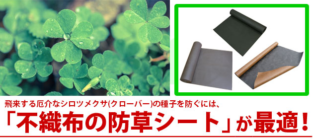 シロツメクサ クローバー 防草シート エコナル ザバーン