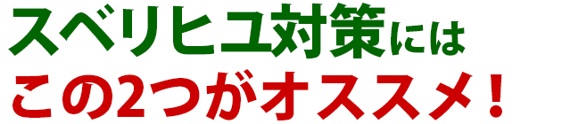 雑草 スベリヒユ 雑草 除草 防除