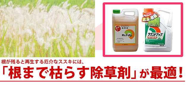 ススキ 除草剤 サンフーロン ラウンドアップ