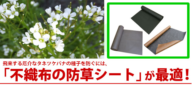 タネツケバナ 防草シート エコナル ザバーン