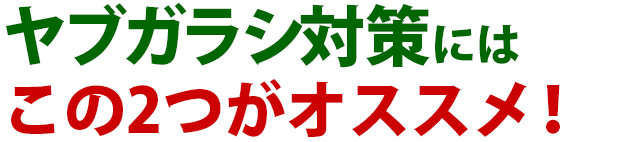 つる雑草ヤブガラシの駆除方法 おすすめ除草剤