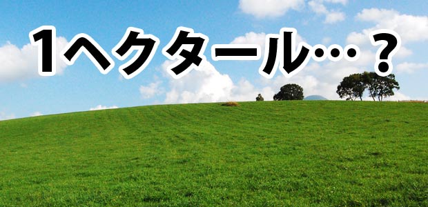 坪 は 何 100 平方メートル １平米（㎡）は何坪？・１坪は何平米（㎡）？・１畳は何坪？ （不動産の面積表示は？？？）