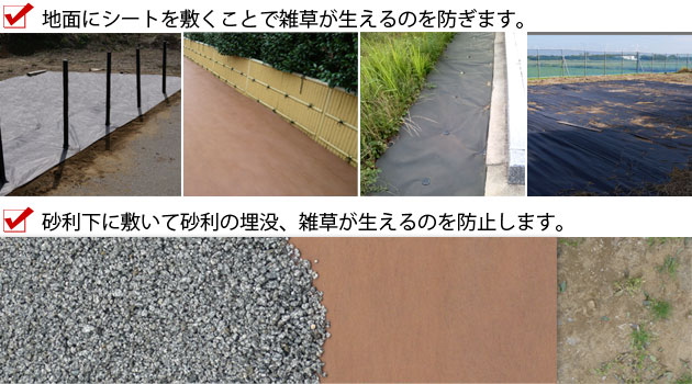 庭の雑草の種類とその駆除について 庭の雑草の種類とその駆除について