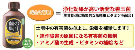 肥料 液体肥料 液肥 菌の黒汁 光合成細菌