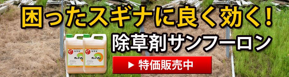 スギナの駆除方法と繁殖の予防 除草剤 防草シート